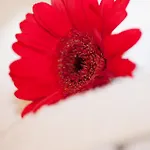 Olympia 아파트