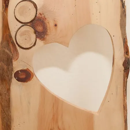 Appartement Olympia Mayrhofen