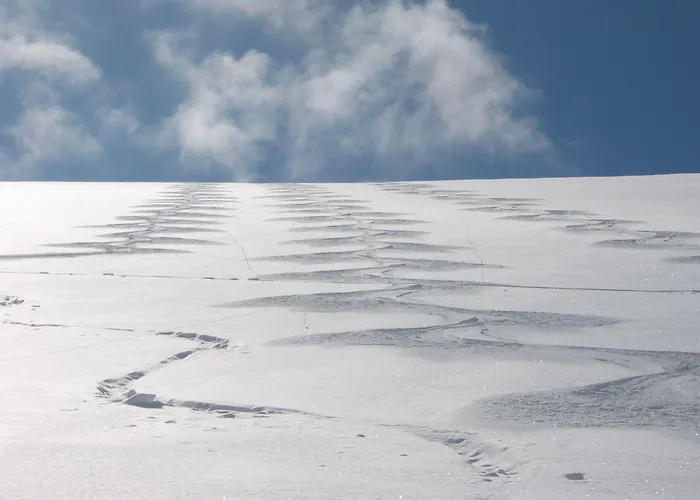 Olympia Apartamento *