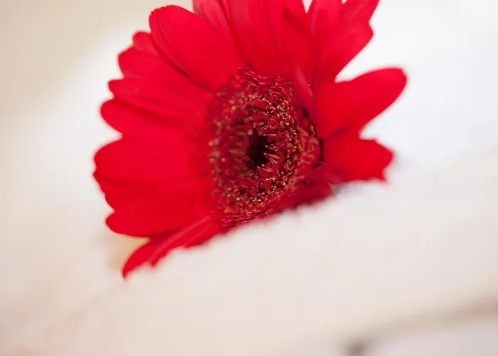 Olympia Апартаменти