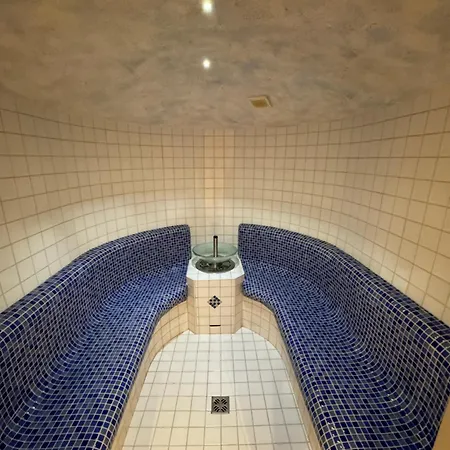 Olympia Lägenhet Mayrhofen