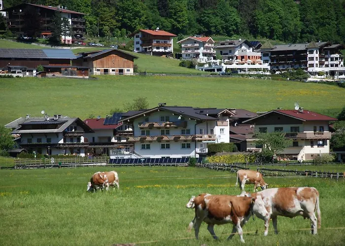 Olympia Mayrhofen